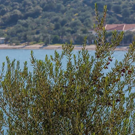 Villa Luxe Front Line Near Trogir *